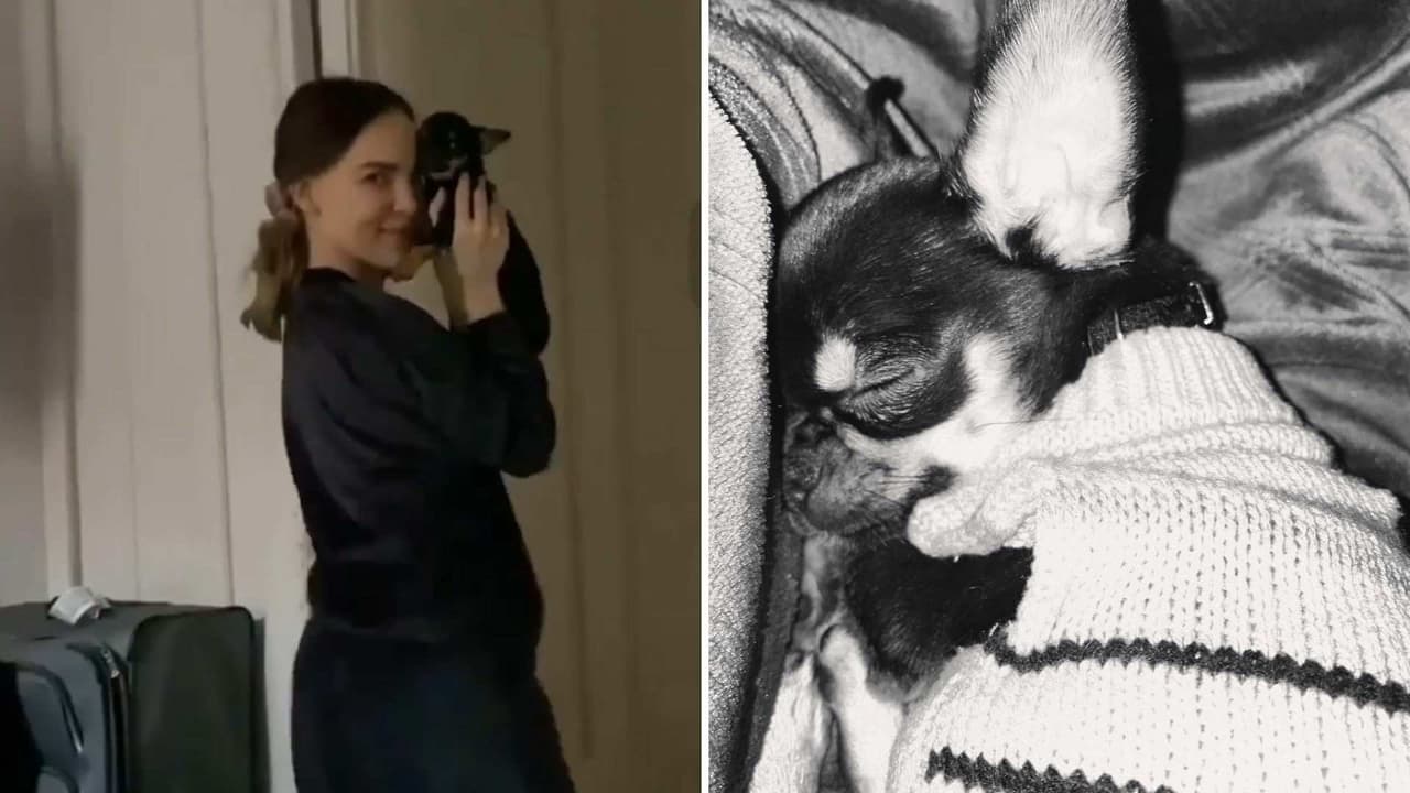 Belinda y su nuevo perrito, ‘4’, fueron captados bailando y fue Nodal quien los exhibió