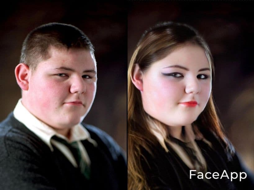 Gregory Goyle / Georgina Goyle
<br>