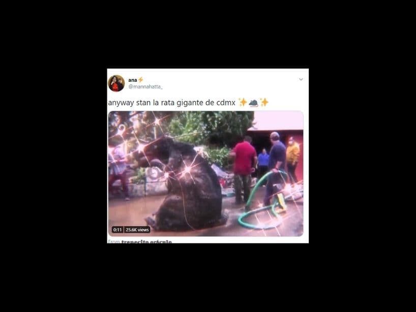Resulta que las alcantarillas estaban tapadas por 20 toneladas de basura, entre ellas la botarga de la rata gigante.