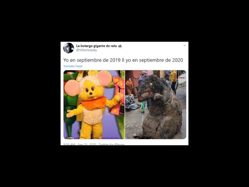 Algunos bromearon haciendo una comparación sobre "como el 2020 había afectado a la rata".