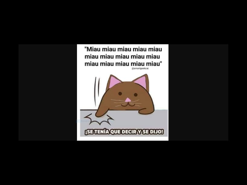 El meme recibió variaciones en animales y contextos. Aquí un gato remata contundentemente todo el debate haciendo su declaración "miau, miau, miau" y concluyendo, 'se tenía que decir y se dijo'.