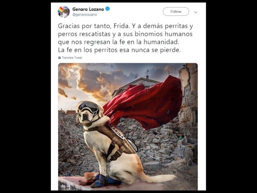 Frida es reconocida como una heroína gracias a sus labores durante diez años.