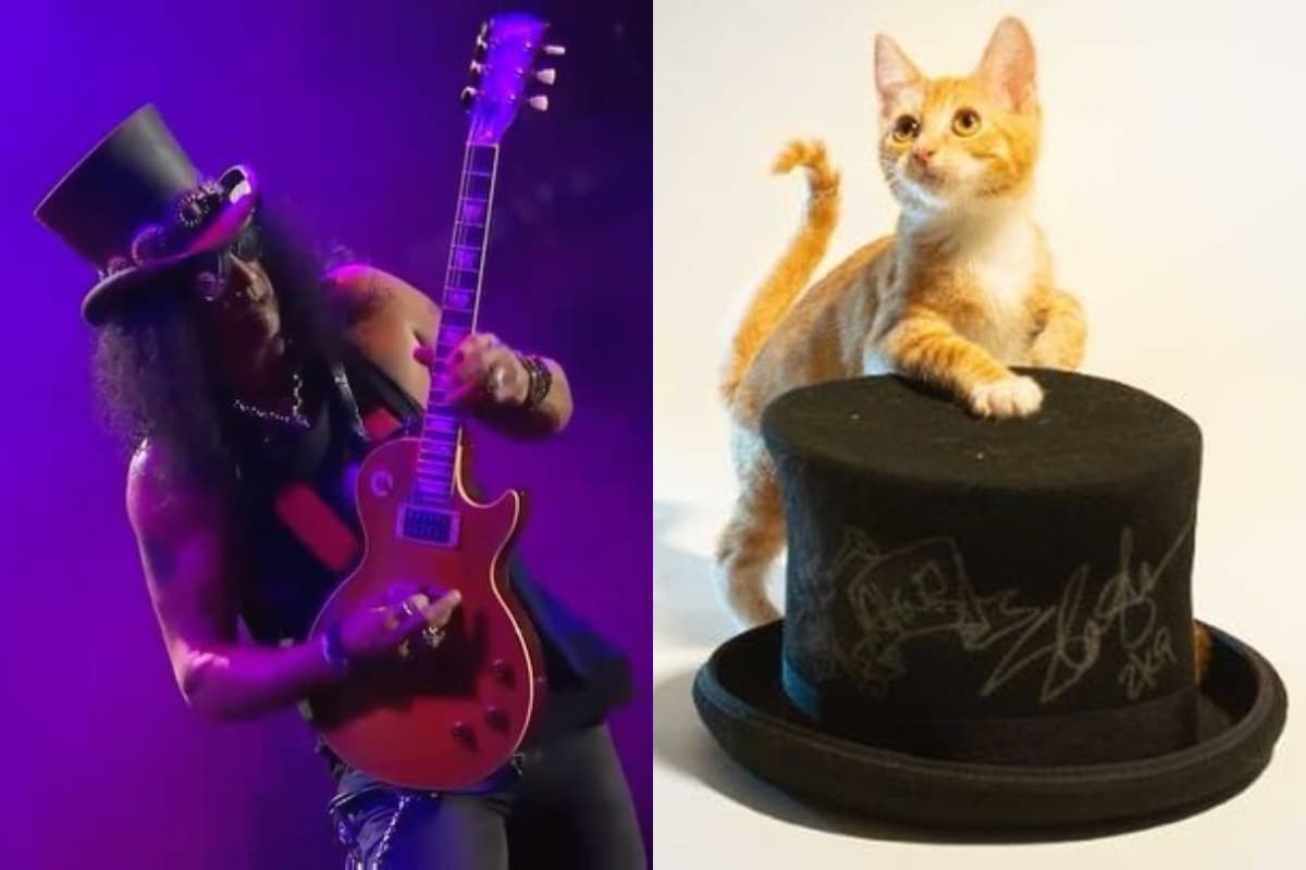 Slash dona uno de sus icónicos sombreros para ayudar a un albergue de gatos