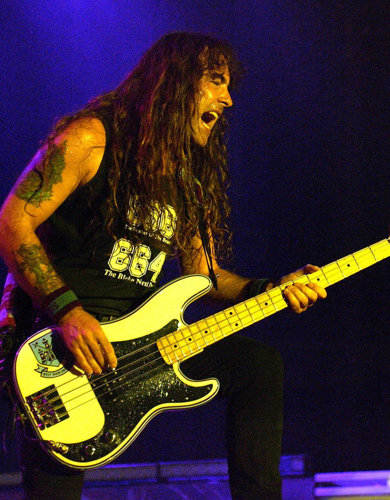 Steve Harris, bajista de Iron Maiden, asegura que está en los registros de quienes alguna vez formaron parte del equipo juvenil del West Ham. 
<br>
<br>Su fanatismo por el equipo es tanto que colocó el escudo del equipo en su bajo.