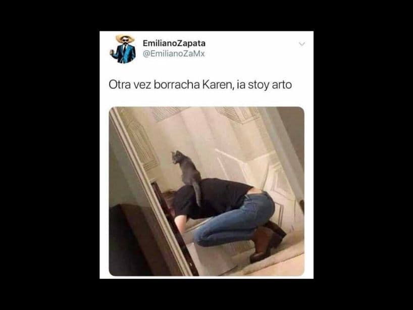 Los gatos regañan a Karen por todo.