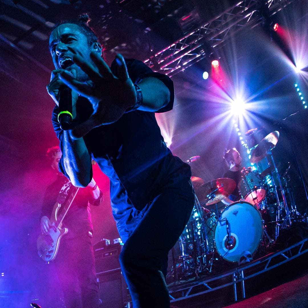 No te puedes perder una de las bandas emblemáticas del rock mexicanoCafé Tacvba volverá al escenario del Vive Latino. El grupo mexicano pondrá a bailar a todos al ritmo de "Ingrata" y a recordar a todas las Marías bonitas. El domingo 17 de marzo se presentará la banda mexicana en el escenario Escena Indio.