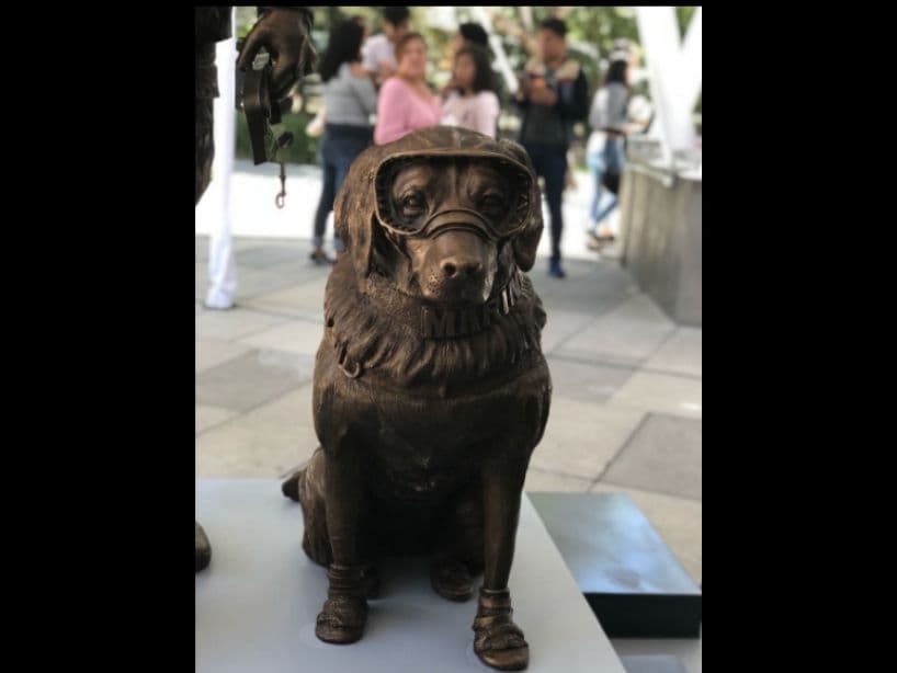 La perrita recibió un homenaje en una estatua en el Parque Ecológico de Puebla junto a su maestro, Israel Arauz.