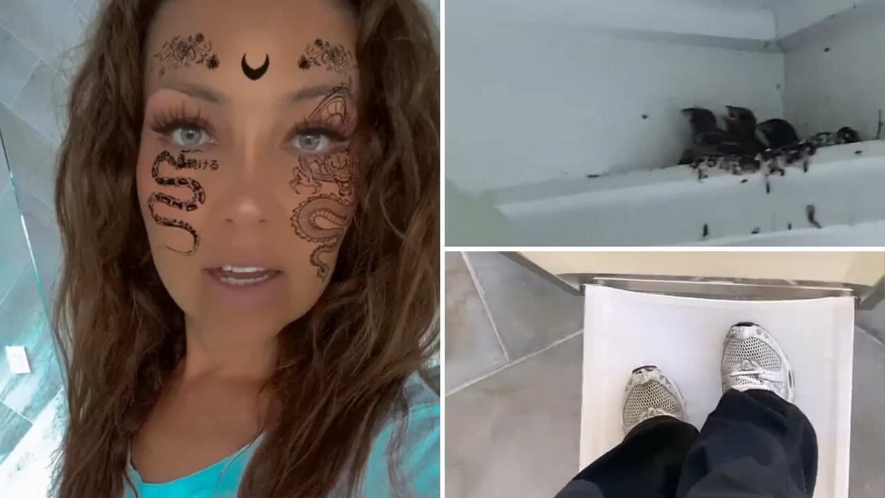 Video: Thalía ‘arriesga’ su vida para espiar a los nuevos inquilinos que se instalaron en su casa