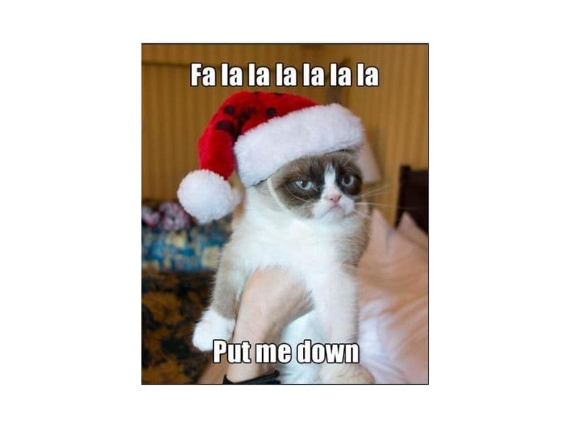 Su popularidad creció tanto que incluso protagonizó una película llamada Grumpy Cat's Worst Christmas Ever (2014). En este meme, Grumpy Cat expresó su odio por la Navidad pidiendo que lo dejen ir.