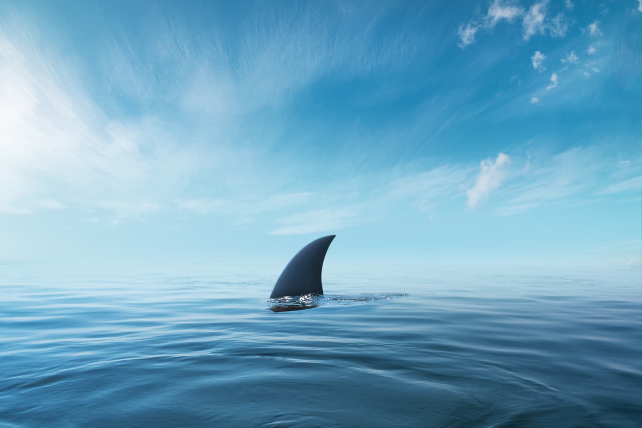 shark fin on surface of ocean agains blue cloudy sky.