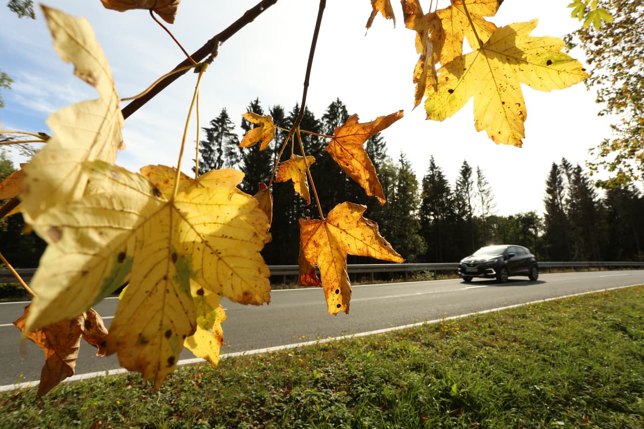 19 September 2020, Saxony-Anhalt, Drei-Annen-Hohne: Colorful leaves glow in the sunlight while a car is driving along a country road. Photo: Matthias Bein/dpa-Zentralbild/ZB (Photo by Matthias Bein/picture alliance via Getty Images)