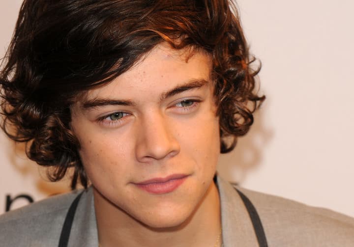 Harry Styles nació para ser una estrella, con ese nombre, voz y envidiable cabello, era cuestión de tiempo para que el cantante alcanzara la fama... y fue One Direction lo que llevó al británico a cumplir su sueño.