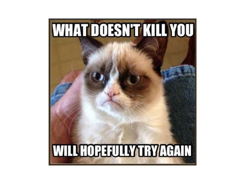 “Además de ser nuestra bebé y un miembro amado de la familia, Grumpy Cat ha ayudado a millones de personas en todo el mundo a sonreír, incluso en tiempos difíciles”, escribió en un comunicado."Lo que no te mata, lo intentará de nuevo".