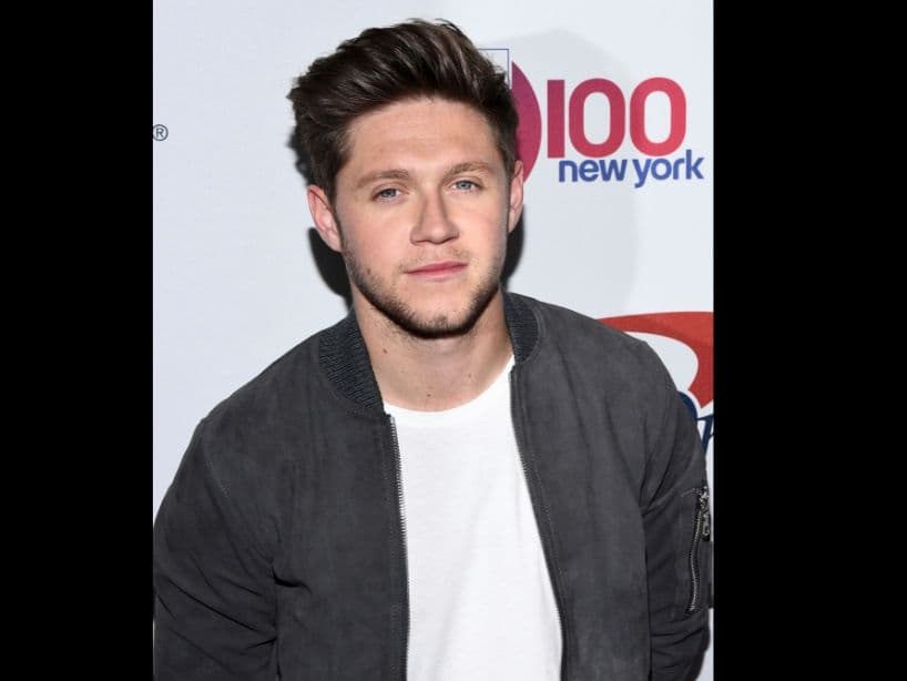 En 2017 lanzó "Flicker", su primer álbum lejos de sus compañeros. Niall se presentó en los Premios Telehit, en donde interpretó su más reciente sencillo, "Nice to Meet Ya".
