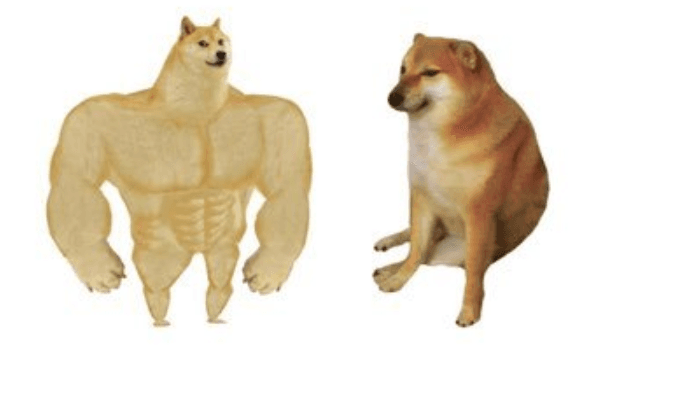 Doge vs. Cheems es la imagen de un perrito musculoso y otra de uno que luce indefenso y que refleja cómo han cambiado las cosas. ¡Checa algunos de los mejores!