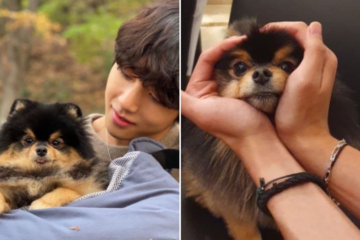 V de BTS con su perrito