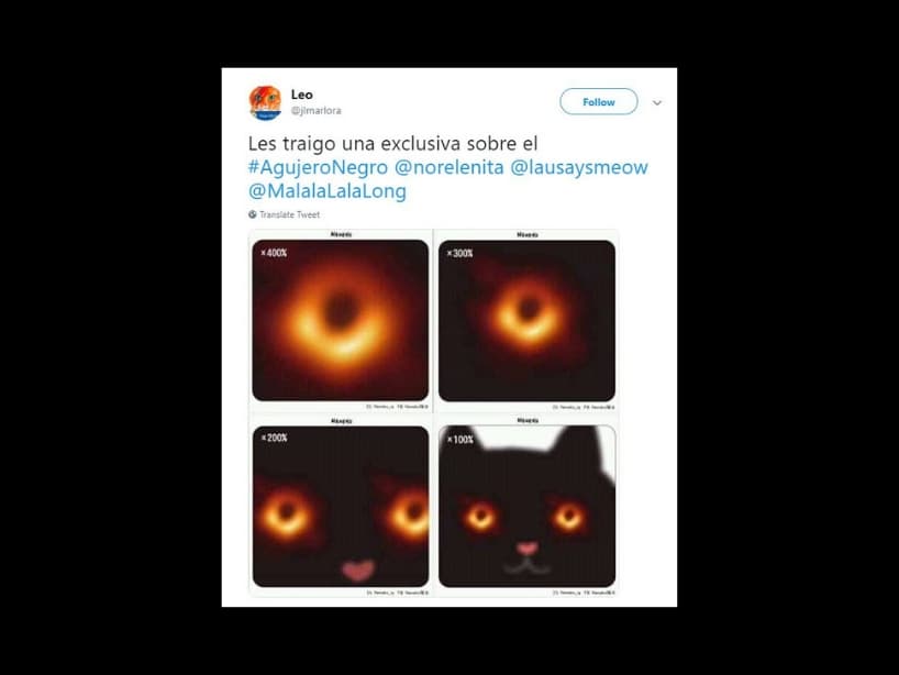 incluso los gatos fueron convocados por la similitud del fenómeno con sus ojos.
