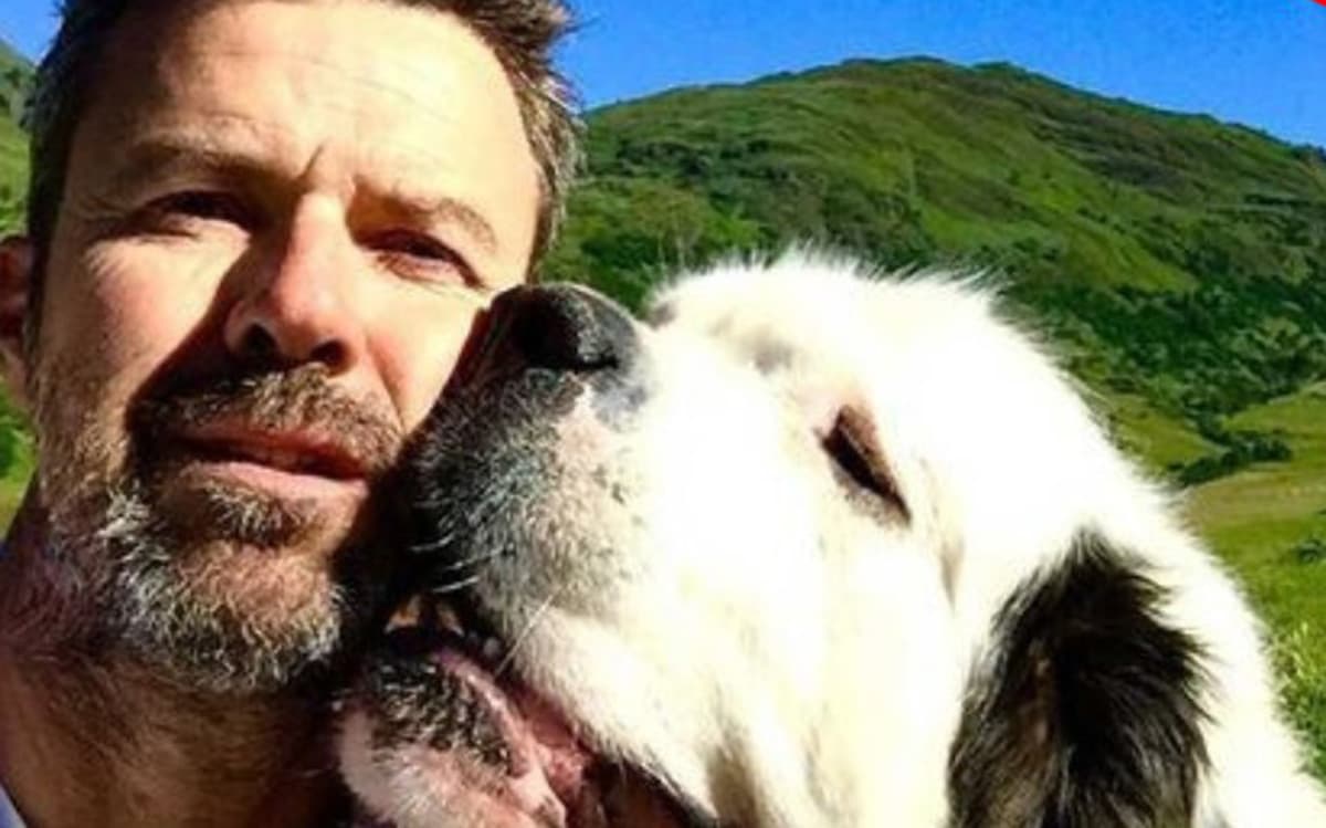 Fideos, el perro y fiel amigo del músico español Pau Donés, falleció