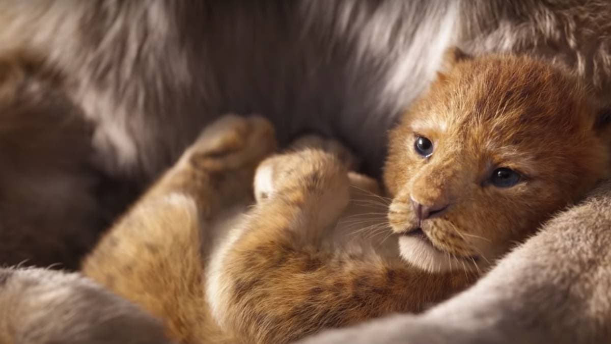 Así se ve el personaje de 'Simba' en live-action