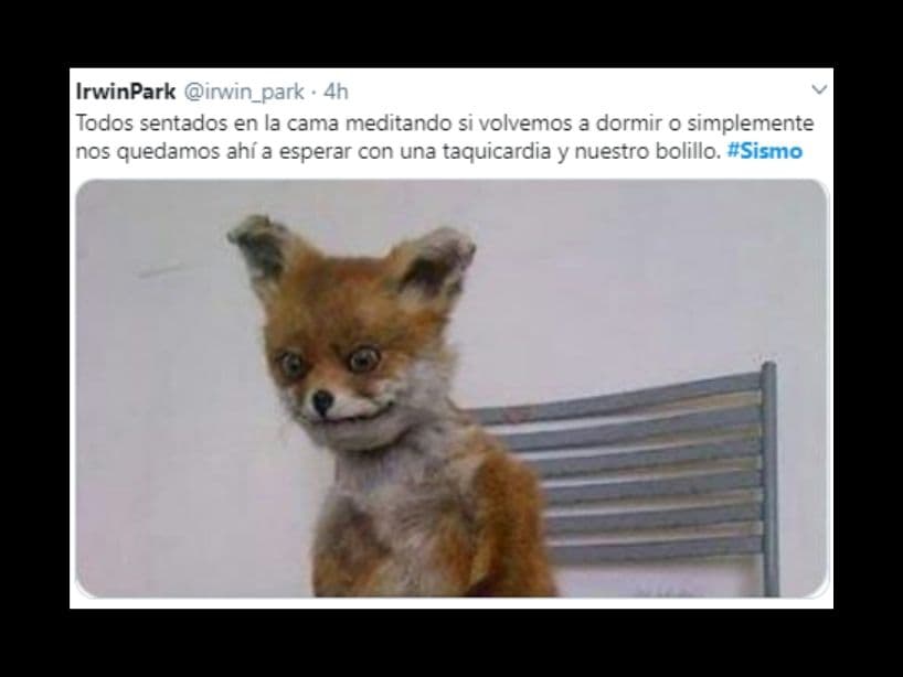 La Coordinación Nacional de Protección Civil comunicó que hasta ahora no se reportan daños causados por el movimiento.