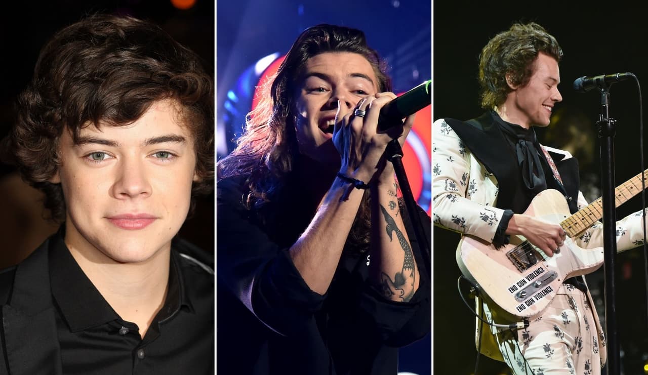 Hermanos, hermanes y hermanas directiones, estamos aquí reunidos para hablar del hombre del cabello envidiable, la sonrisa pícara, la voz angélical y los cuatro pezones: Harry Edward Styles.