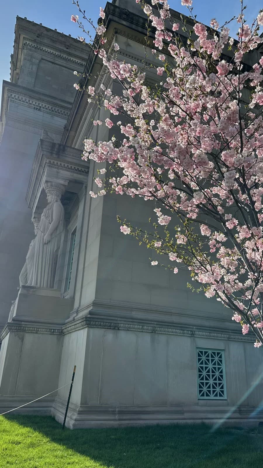 Primavera en Chicago: Vuelven a florecer los cerezos en Jackson Park 