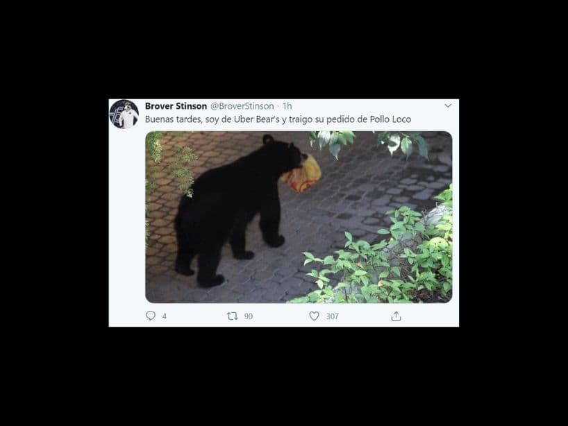 ¿Qué harías si estás trabajando y viene el oso por su pedido?
<br>