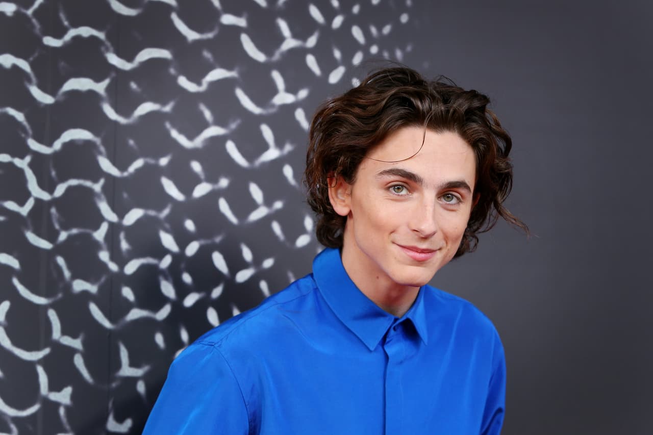 Timothée Chalamet en 2019