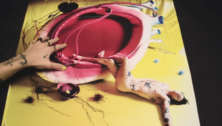 Tanto la música, como los looks del nuevo álbum, están inspirado es los años 70. Esta fotografía, en la que aparece completamente desnudo, con una estética de esa época, forma parte del arte de "Fine Line". Harry presumió la imagen en un video en su canal de YouTube.