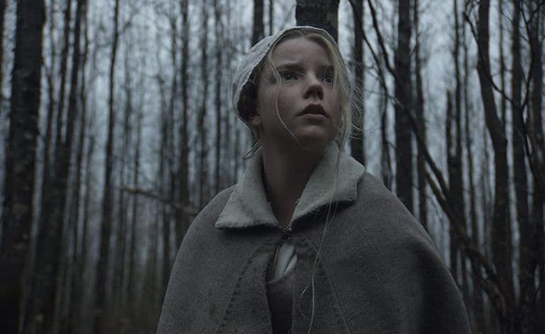 Sin embargo, esto la hizo tomar vuelo para que su carrera despegara más fuerte. A pesar de no haber sido parte de la gran película de Disney, Anya Taylor-Joy logró formar parte de de “La Bruja”, cinta que fue estrenada en el 2015 y que ganó el Premio Gotham al Intérprete Revelación.