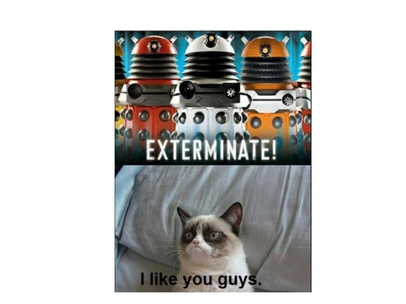 Grumpy Cat se volvió viral en 2013 gracias a una fotografía de su enojado rostro, que fue publicada a través de Reddit."¡Extermina!", declaran los robots, acción que la gatita enojona aprueba.
