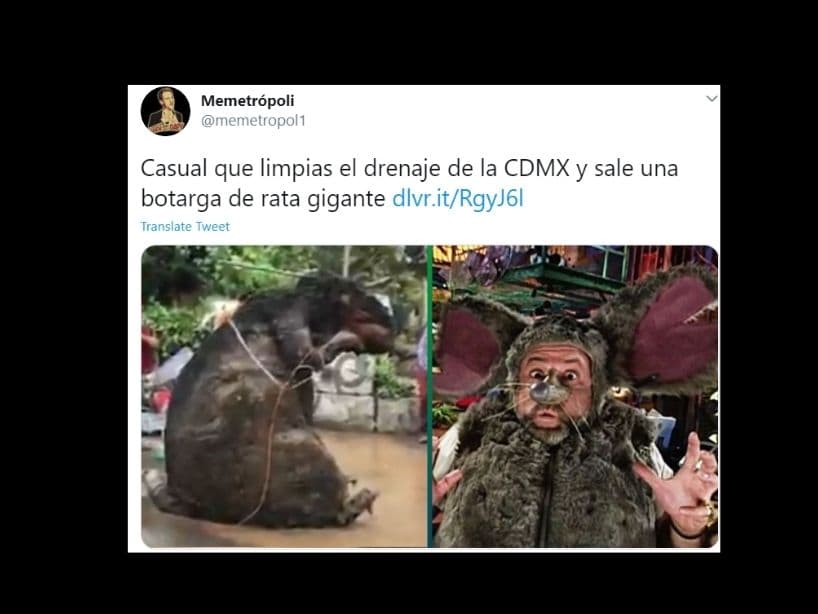 Y cómo olvidar "El mundo de Beakman", un programa que marcó a toda una generación.
