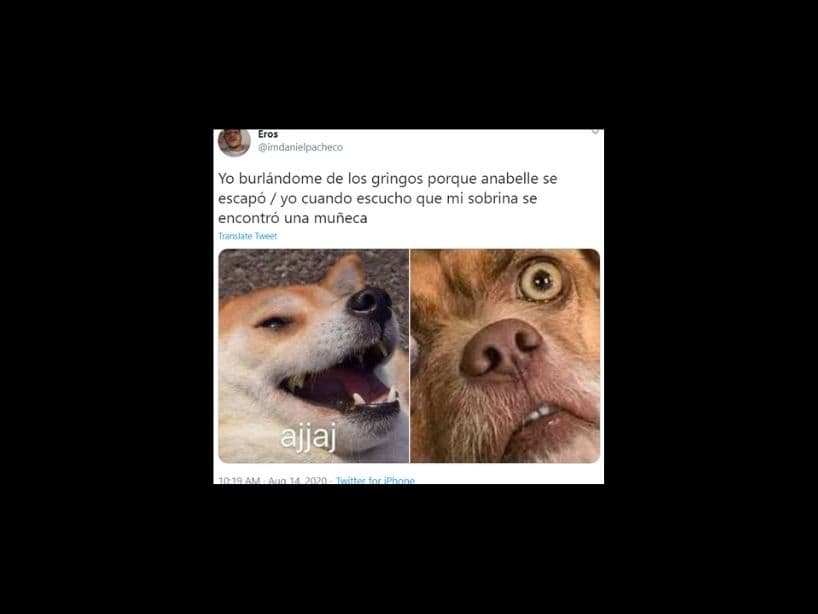Al final del día, mientras no te la encuentres de frente, siempre puedes reírte de los memes.