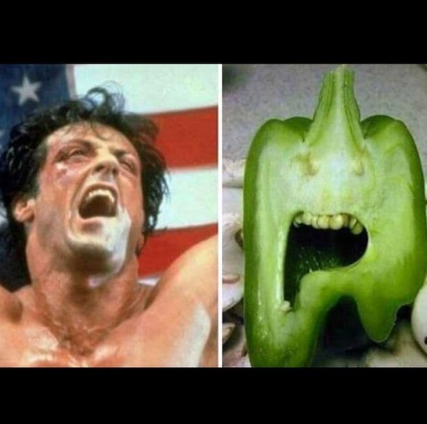 Este pimiento verde y Sylvester Stallone en una pelea de "Rocky" tienen la misma cara.