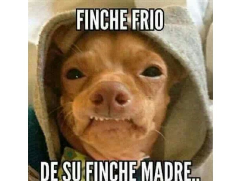 Fodos forimos fe frío.