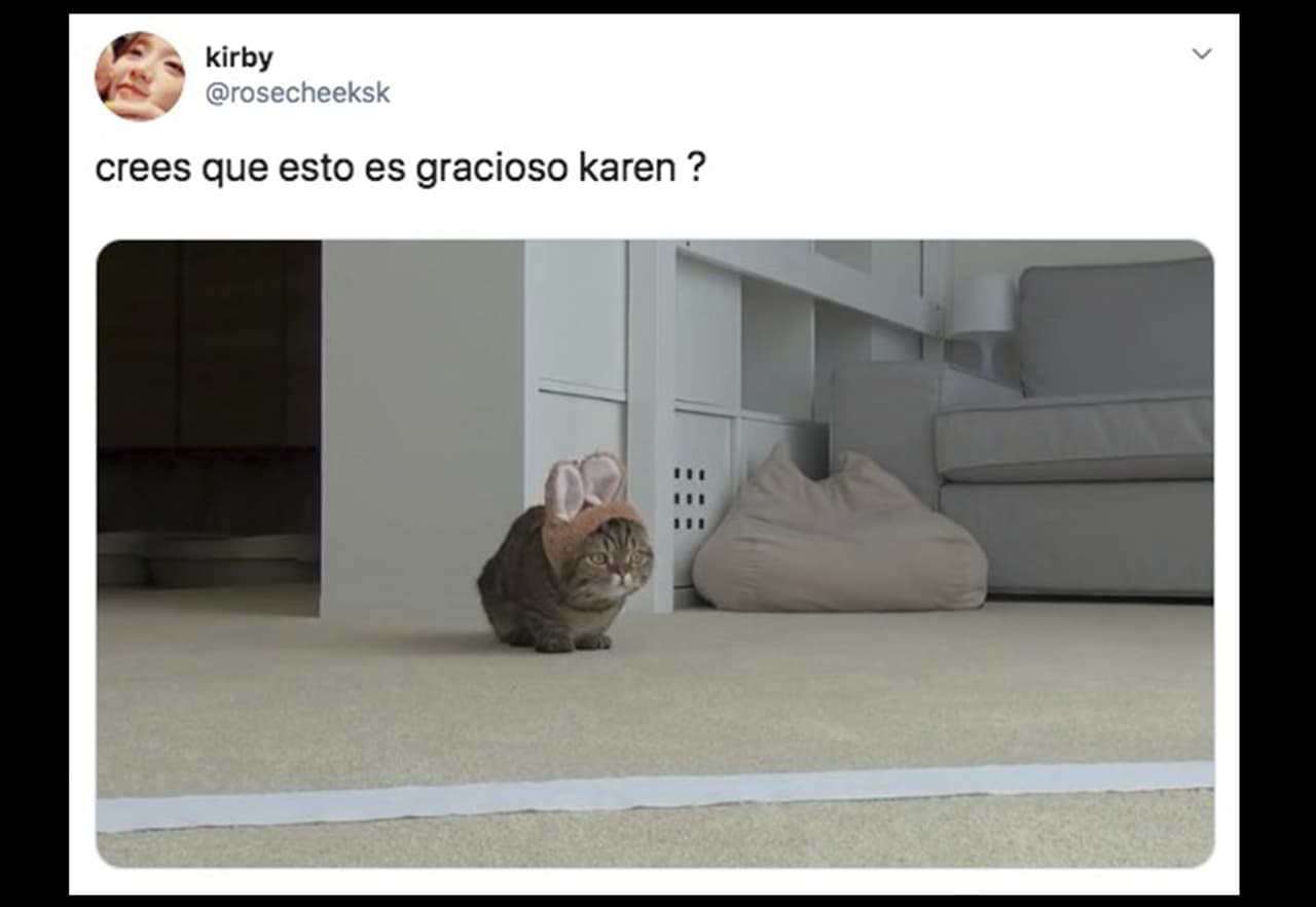 Digamos que la relación entre Karen y los michis es de amor/odio.