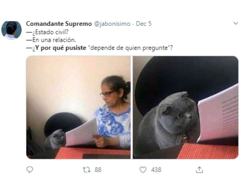 Twitter está repleto de memes del gato regañado, ¿cuál es tu favorito?