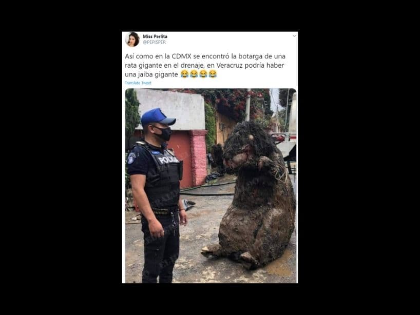 ¿Se imaginan trasladar esto a Veracruz, qué pasaría?