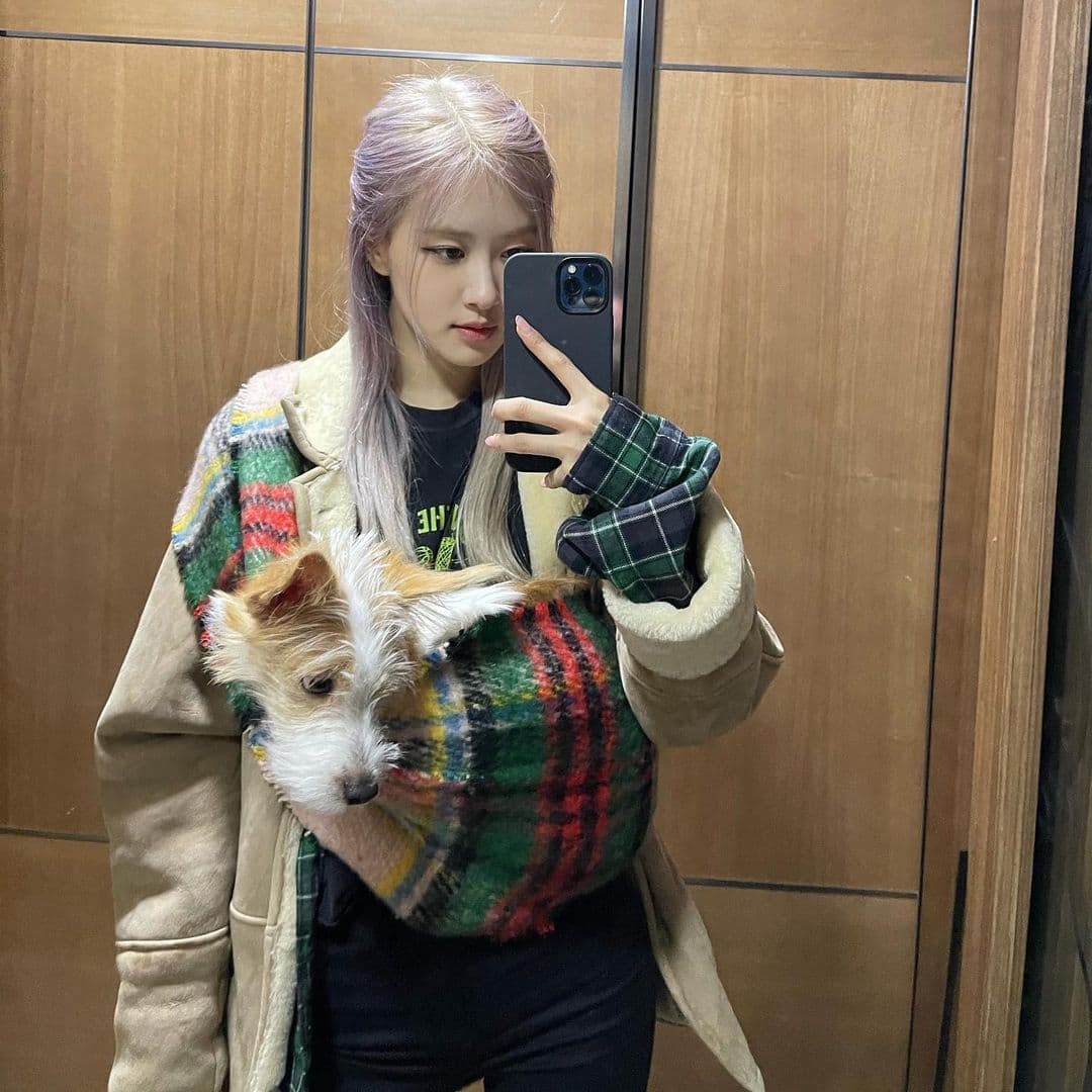 Su nombre es Hank y está con ella desde que era un cachorrito; incluso se ha convertido en toda una celebridad.