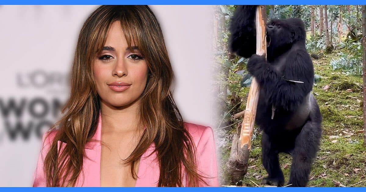 Camila Cabello visita Ruanda y cumple sueño de ver de cerca a los gorilas