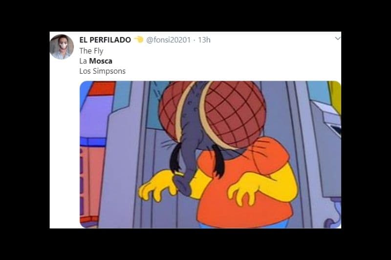 La mosca que se paró sobre la cabeza de Mike Pence durante el debate, se robó el show.