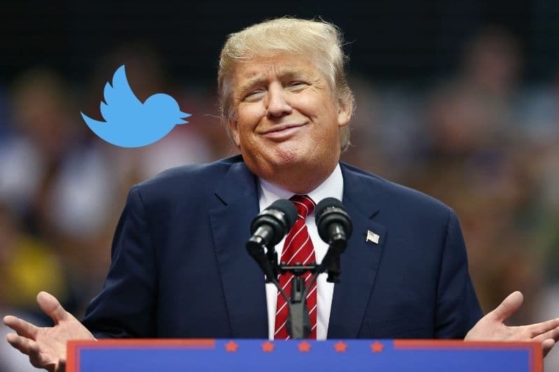 Tras darse a conocer el resultado de las elecciones, si buscas "loser", en Twitter y te vas a la sección de "personajes", la primera opción será Donald Trump.
