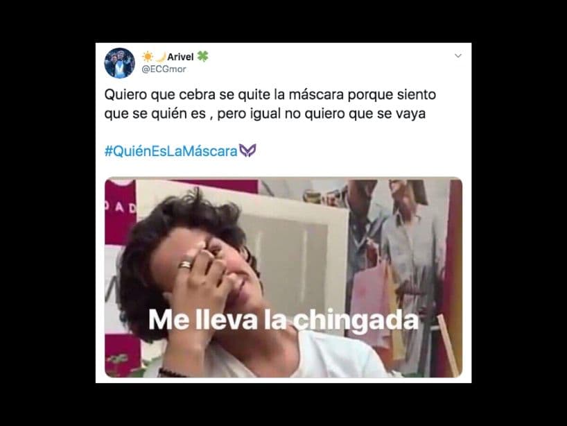 Sin embargo, no están 100 por ciento seguros. Quieren que Cebra sea descubierto, pero les gusta que siga.