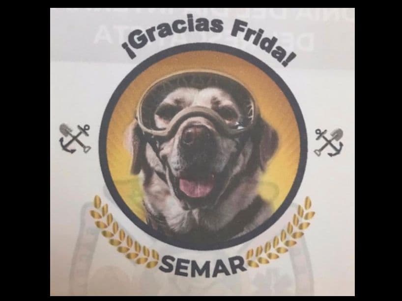 ¡Gracias por tanto, Frida!