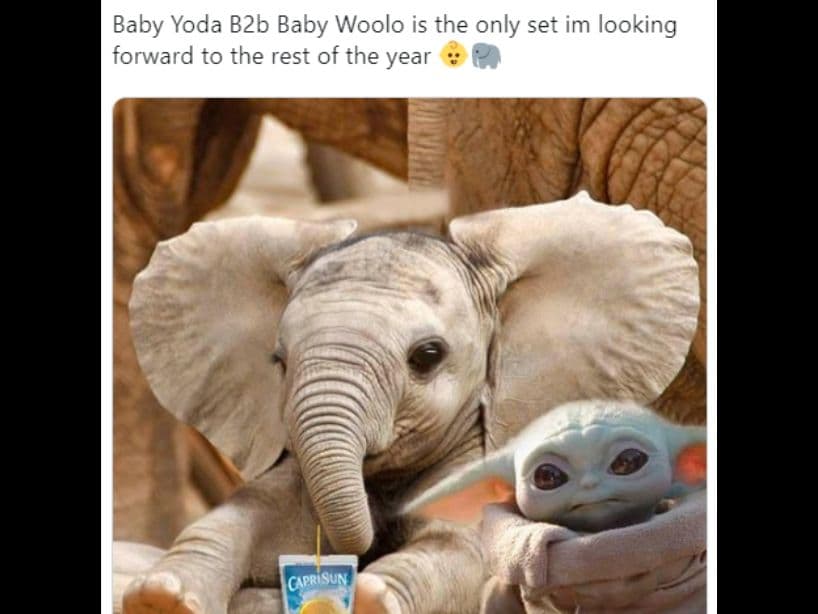 El Internet decidió que es tan lindo como un elefante bebé.