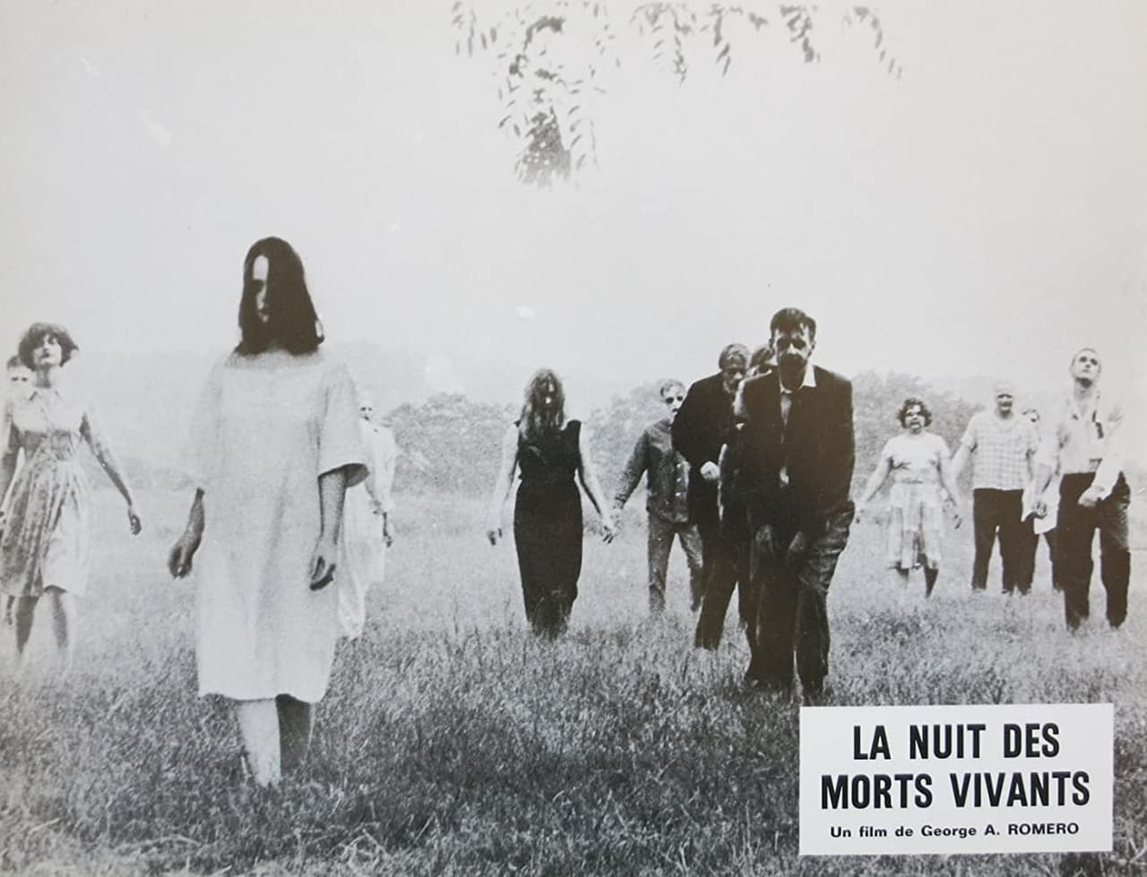 <b>La Noche de los Muertos Vivientes (1968) - YouTube</b>
<br>
<br>Otro clásico de terror. Narra cómo un grupo de personas que están encerradas dentro de una granja pelean por sobrevivir a una horda de muertos que, por causas desconocidas, volvieron a la vida.