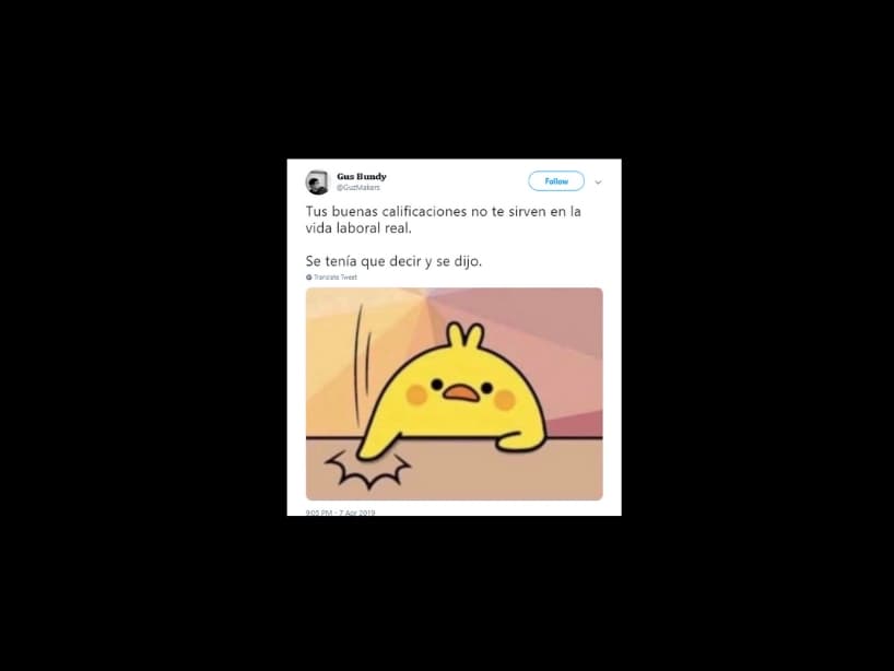 Un pollito golpeando la mesa con su alita ha capturado la atención de las redes. El simpático animal sentencia: 'Se tenía que decir y se dijo' y su frase ha dado para todo.