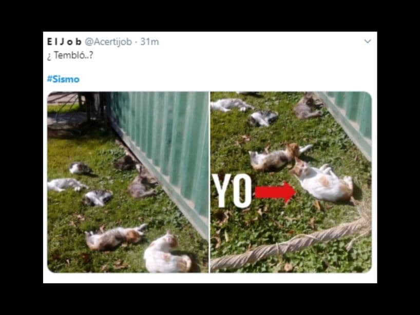 Un susto así, le quita el sueño a cualquiera.