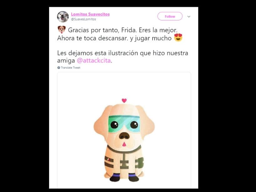 Las redes sociales rinieron homenaje a la perrita.