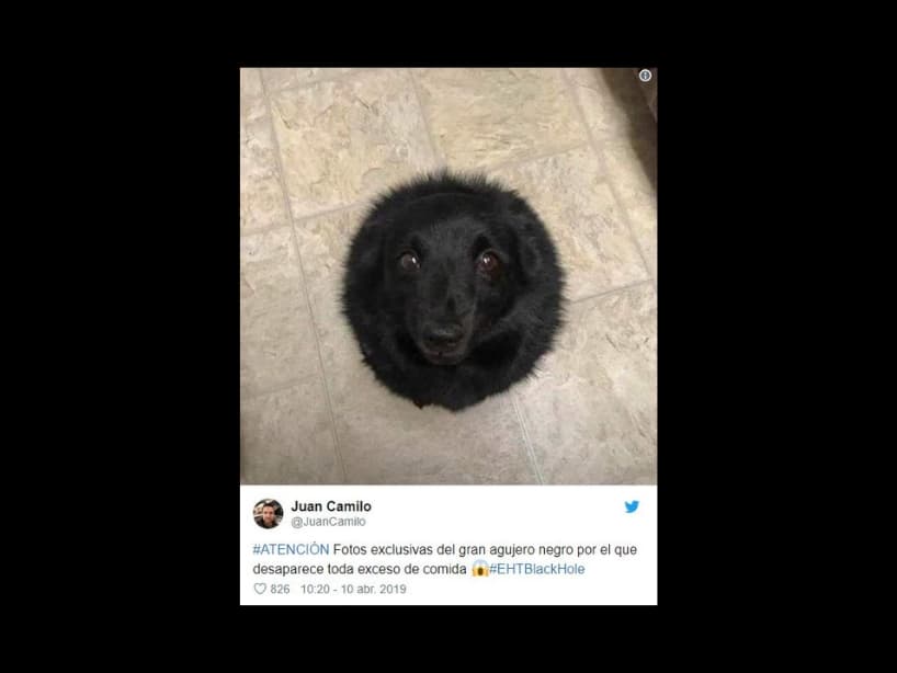 Un equipo internacional compuesto por más de 200 científicos, fue el encargado de la publicación de la primera imagen de un agujero negro, nombrado “M87”.